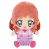 BANDAI Wanda Furupuri Kyu! Cure Friends Plush Toy Inukai Iroha