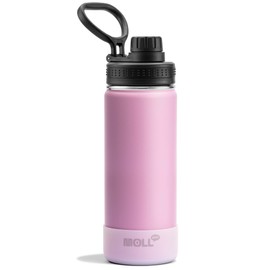 Mollcity Insulated Water Bottle-22 oz Stainless Steel Double Wall Vacuum Sports Water Bottle with Spout Lid-Metal Leak Proof Travel Water Flask for Girls (Purple Pink)