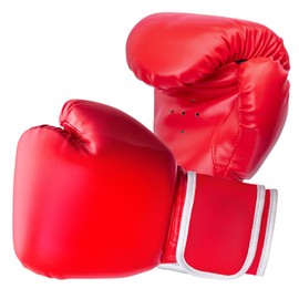Vasolpryb Kids Boxing Gloves for Kids Boys Girls Youth Age 4-10 Years Training Gloves for Punching Bag Kickboxing Muay Thai