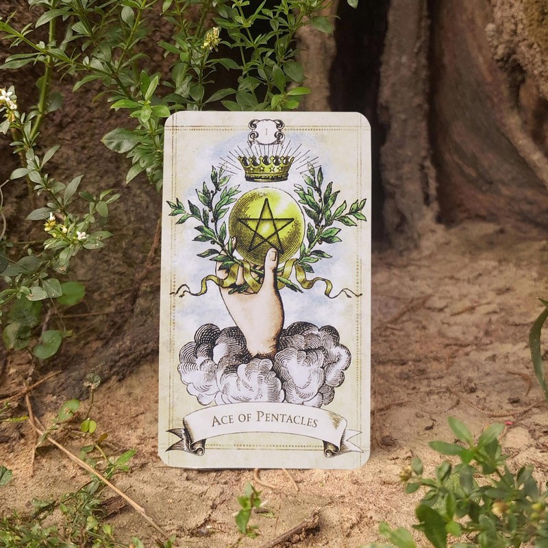 Zqkimzi Tarot Deck, 78 Old Style Tarot Deck, Tarot Book