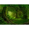 SIGNWIN Wall Mural Forest Removable Self-Adhesive Wallpaper Wall Decoration for