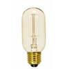 Satco S2417 40 Watt 160 Lumens T14 Incandescent Medium Base
