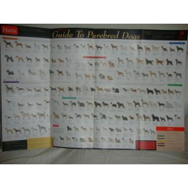 2 NEW Veterinary American Kennel Club VET AKC Dog Breed Guide to Purebred Poster