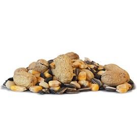BestNest Critter Snack Seed Mix, 10 lbs.