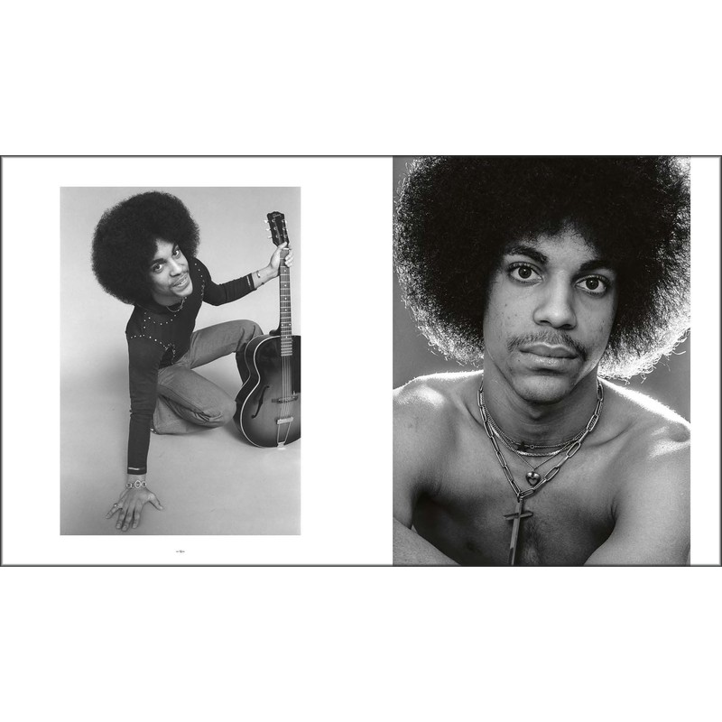Prince: Icon
