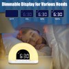 Ainiv Sunrise Alarm Clock, Wake Up Light with Sunrise Simulation,