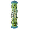 Rescue TSF-BB8 TrapStik® for Flies