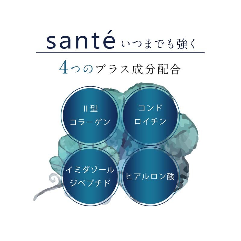 オーガランド (ogaland) プロテオグリカン Sante サンテ (180粒 / 約6ヶ月分) サプリ プロテオグリカン