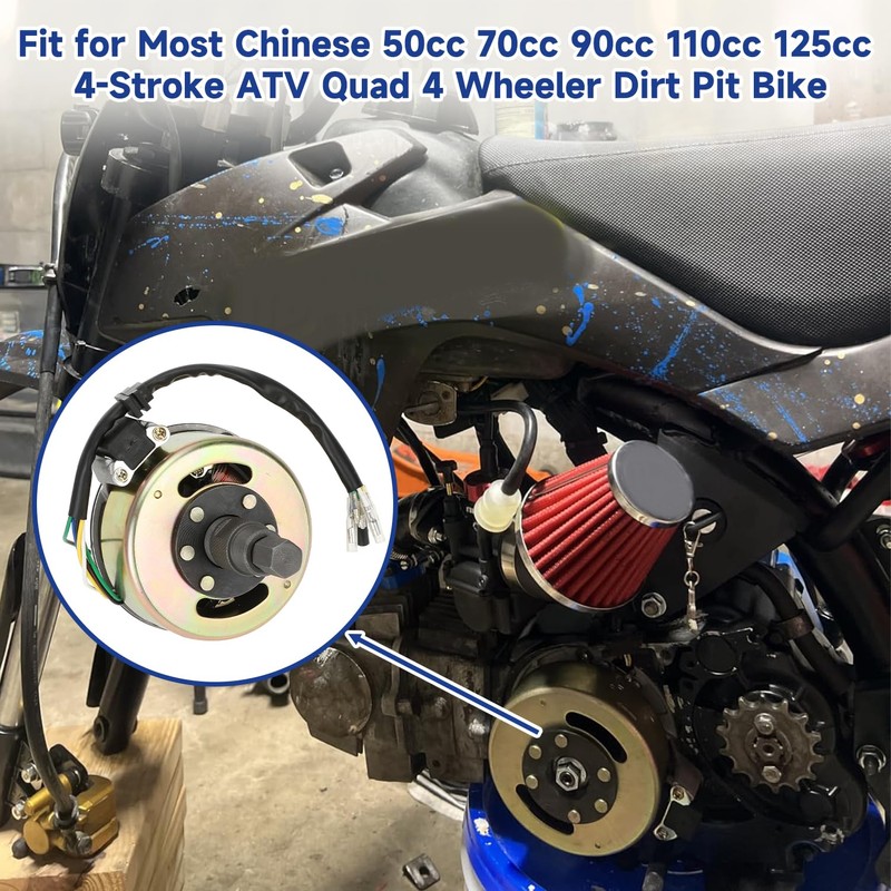 SHIQINHA 2 Coil Ignition Magneto Stator for Taotao Coolster 125cc