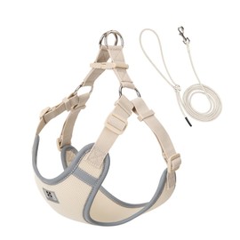 SMALL COMBINATION Nylon Dog Harness, Reflective Strips, Adjustable Straps, Bright Green, with Matching Lead (Cream-Coloured, M)