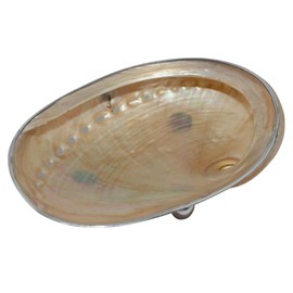 Freak Scene Jewellery Bowl - Seashell - silver - small