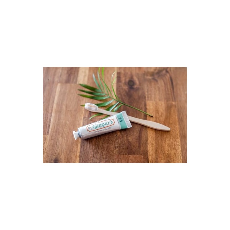 Dr. Ginger's Coconut Oil Toothpaste - Fluoride & Dye Free