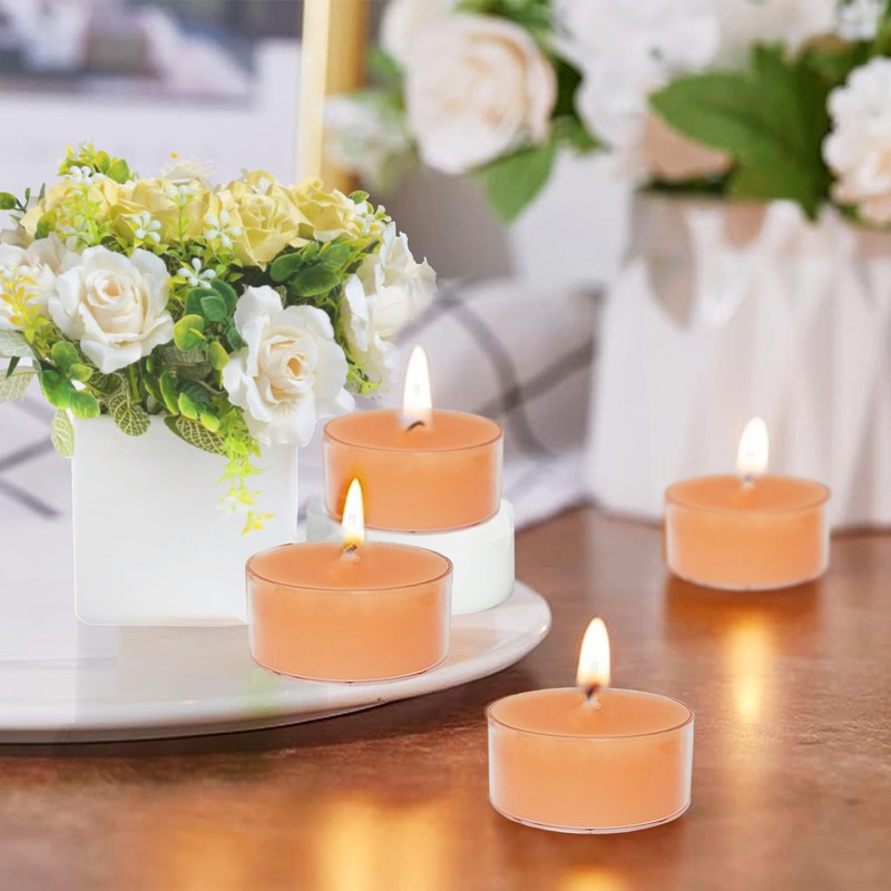Terracotta Tea Lights Candles Set of 24, Pumpkin Scented for