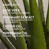 Bondi Boost Elixir Oil 100ml