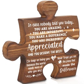 You are Amazing Appreciated Gifts, Inspirational Thank You Puzzle Piece Plaque for Teachers, Coworkers, Staff, Friends AXX21