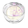 Bell "Love in the City" Brow Wax Styling Wax for