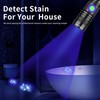 DARKBEAM 365nm UV Flashlight Rechargeable Black Light - Powerful LED