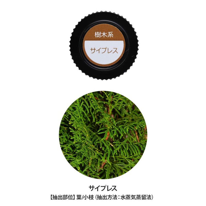 7 of Essential Oils Cypress 10ml Aromatherapy Essential Oils