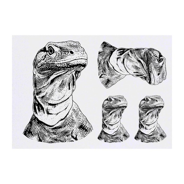4 x 'Komodo Dragon Portrait' Temporary Tattoos - Water Resistant,