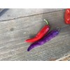 Buena Mulata Spicy Purple Pepper Premium Seeds for Planting Packet