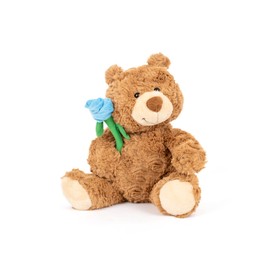 Wanwu World Cute Teddy Bear Stuffed Animal 11.02'' with Rose Bear Plush Toy for Valentines Day Soft Stuffed Bear Plush Bear Plushie Toys Gifts for Girlfriend Boyfriend Kid