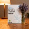 Atomy Essential Oil Patches: The power of natural herbs to