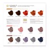 Color Tech Tinte Permanente Profesional Para Cabello Color Tech