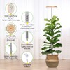 LORDEM Bamboo Grow Light for Indoor Plants, Full Spectrum LED