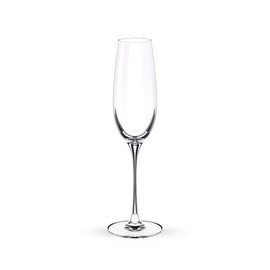 Wilmax Champagne Glasses 2 Pieces | 260 ml | Champagne Glasses | Crystal Glasses | Drinking Glasses | Champagne Glass | Champagne Glasses | Champagne Flutes | Safe for Health | Dishwasher Safe | Pack