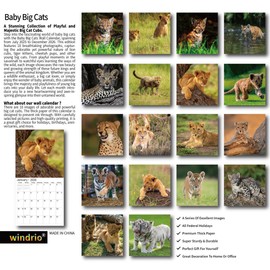 windrio 2026 Wall Calendar, Calendar 2026, July 2025 - December 2026, Wall Calendar Baby Big Cats, 12" x 24" Opened,Full Page Months Thick & Sturdy Paper for Calendar Organizing & Planning