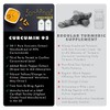 Curcumin 95 Advanced by LLS | High Strength Curcumin (the