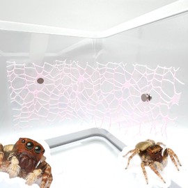 LUTQ 4 Pcs Jumping Spider Habitat Accessories - Jumping Spider Accessories with Magnet, Enhance Your Jumping Spider's Home with Functional and Stylish Spider Enclosure Décor, Pink