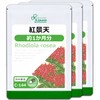 【リプサ公式】 紅景天 約1か月分×3袋 C-144-3