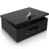 Dalmbox Portable Metal Safe Box with Dual Combination and Key