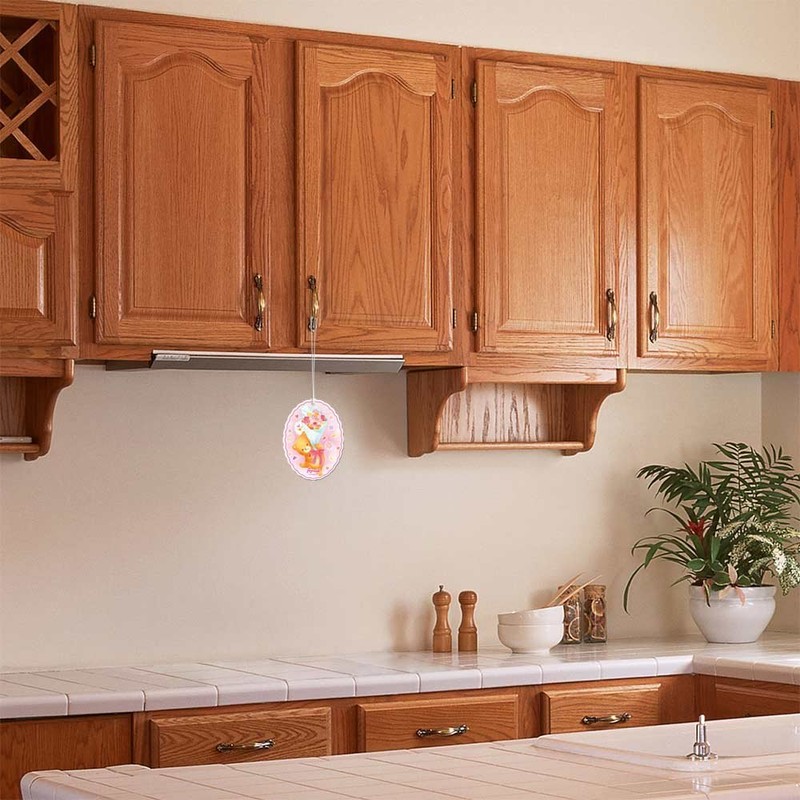 4165 Bear Odor Eliminator Plate Floral Soap Pack of 3