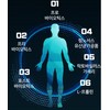 WithBio Probiotics Lactobacillus Lactobacillus Rhamnose Lactobacillus Chicory Rhamnosus GG Efficacy