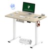 FLEXISPOT EN2 Whole-Piece Standing Desk with Clamp Power Strip, 40