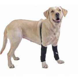 Totogiong Totojiong Dog Leg Braces Dog Knee Pads for Front Legs,Dog Knee Brace,Adjustab