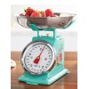 The Pioneer Women Sweet Rose Mini Analog Scale Silver Teal