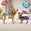 Simple Solution Hunde Windeln waschbar L