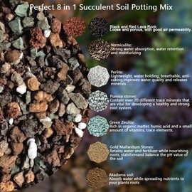 Mix Horticultural 5lbs Lava Rocks Mixed Potting Soil for Plants Bonsai Succulents and Cacti Soil Decoration Gravel Volcanic Pumice Stones for Terrarium, Top Dressing, Fairy Gardening