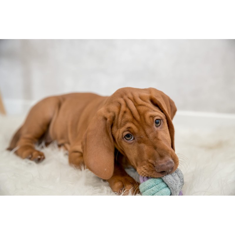 Trixie Rope Ball 6 cm - 300 g