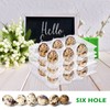 Vegena Quail Egg Boxes - Pack of 50 Quail Egg