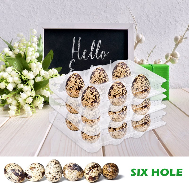 Vegena Quail Egg Boxes - Pack of 50 Quail Egg