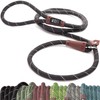 Wolfi Correa para Mascota Duradera, Correa Resistente y cómoda para