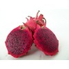 Red Dragon Fruit Live Plant Easy Growing Juicy Sweet
