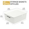 Xowine 6-Pack Plastic Woven Basket with Lids, Lidded Storage Bin,