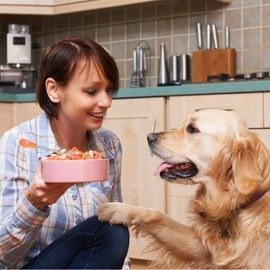 EQLEF Löffel aus Edelstahl mit Silikongriff mit süßem Katzen-Klauenmotiv, für Milchpulver oder Katzen- und Hundefutter, 2 Löffel in einem Set