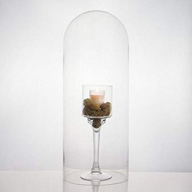 Glass Dome Cloche Bell Jar Terrarium, H-21, (Pack of 2) - Wedding, Event and Home Decor
