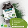 GSE Chlorella Pellets, 550 Tablets, Nutrient-Rich Micro Algae, Rich in